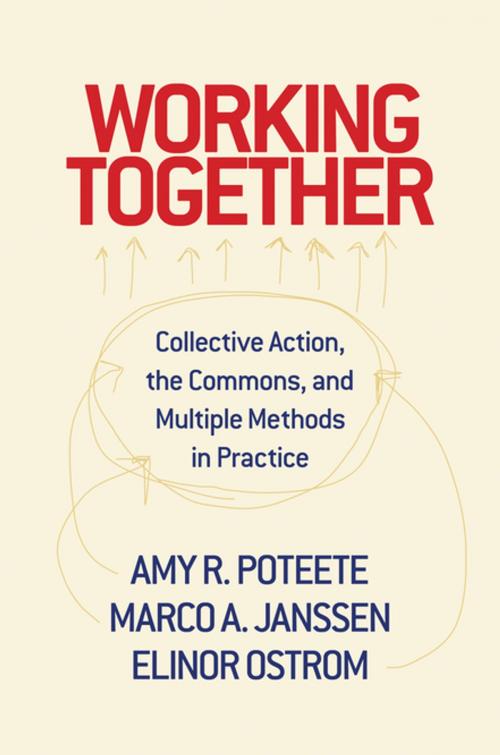 Cover of the book Working Together by Elinor Ostrom, Amy R. Poteete, Marco A. Janssen, Princeton University Press