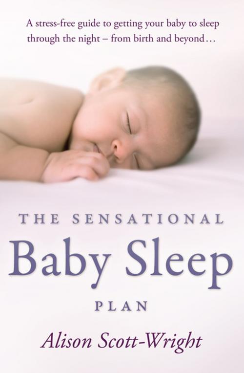 Cover of the book The Sensational Baby Sleep Plan by Alison Scott-Wright, Transworld