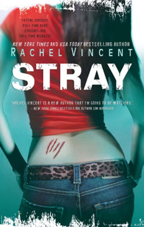 Cover of the book Stray by Rachel Vincent, MIRA Books