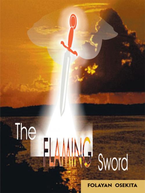 Cover of the book The Flaming Sword by Folayan Osekita, Trafford Publishing