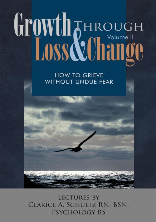 Cover of the book Growth Through Loss & Change, Volume Ii by Clarice A. Schultz, Trafford Publishing