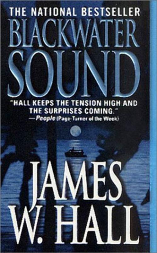 Cover of the book Blackwater Sound by James W. Hall, St. Martin's Press