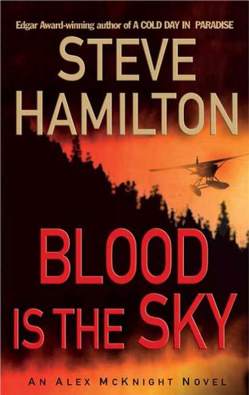 Cover of the book Blood is the Sky by Steve Hamilton, St. Martin's Press