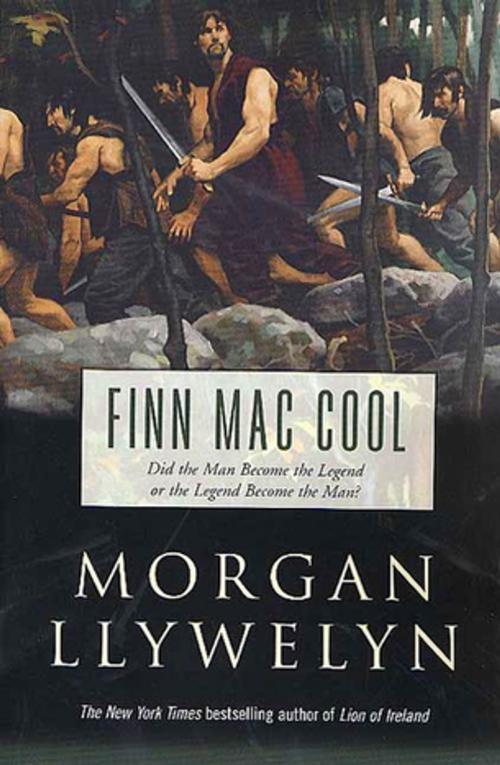 Cover of the book Finn Mac Cool by Morgan Llywelyn, Tom Doherty Associates