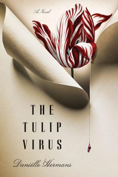 Cover of the book The Tulip Virus by Danielle Hermans, St. Martin's Press