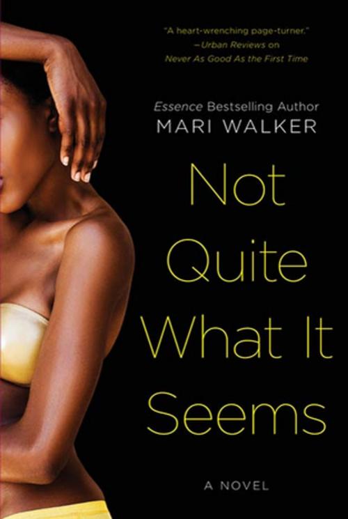 Cover of the book Not Quite What It Seems by Mari Walker, St. Martin's Press