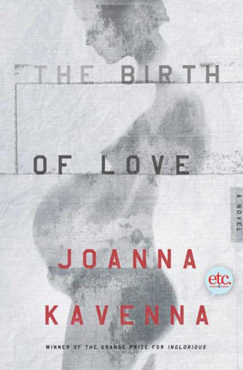 Cover of the book The Birth of Love by Joanna Kavenna, Henry Holt and Co.