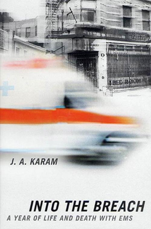 Cover of the book Into the Breach by J. A. Karam, St. Martin's Press