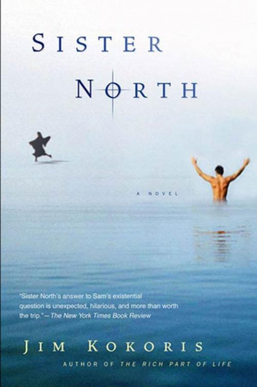 Cover of the book Sister North by Jim Kokoris, St. Martin's Press