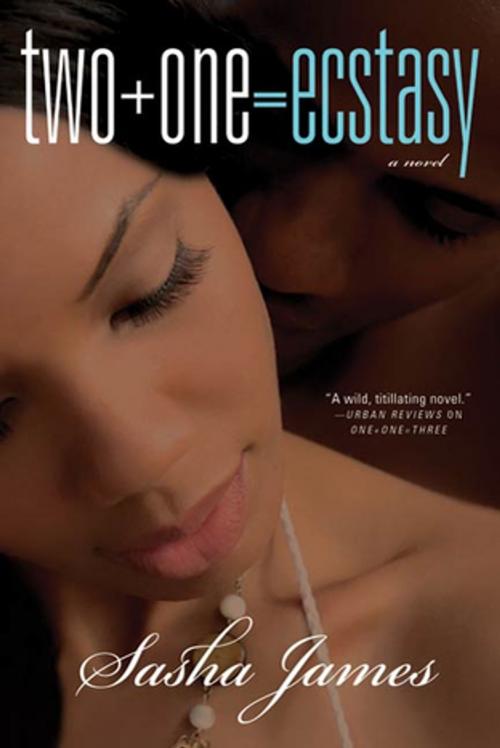 Cover of the book Two + One = Ecstasy by Sasha James, St. Martin's Press