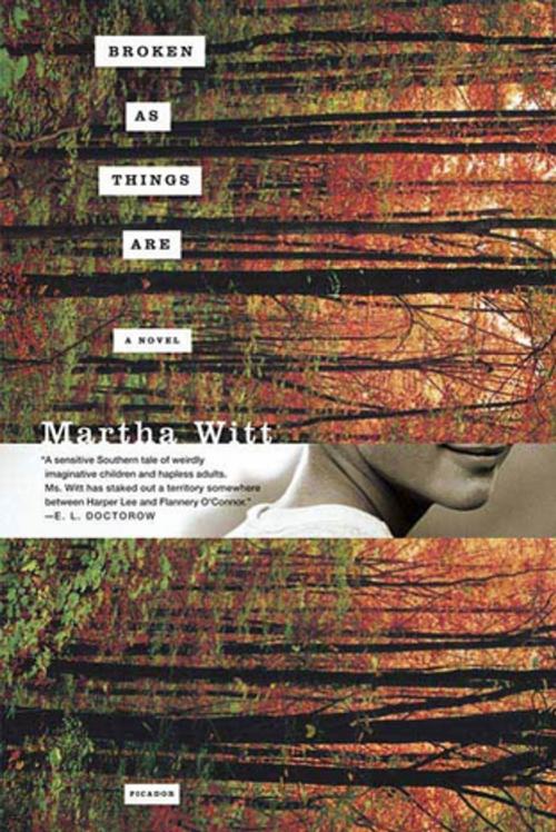 Cover of the book Broken as Things Are by Martha Witt, Henry Holt and Co.