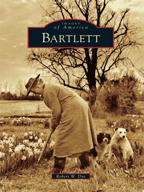 Cover of the book Bartlett by Robert W. Dye, Arcadia Publishing Inc.