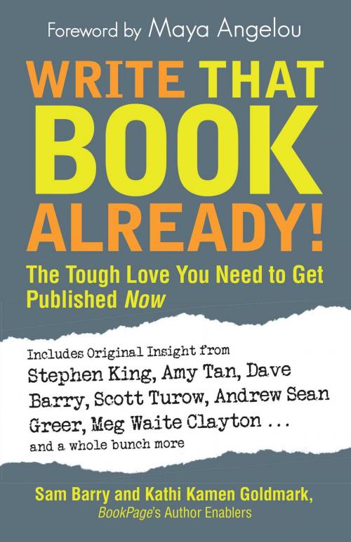 Cover of the book Write That Book Already! by Sam Barry, Kathi Kamen Goldmark, Adams Media