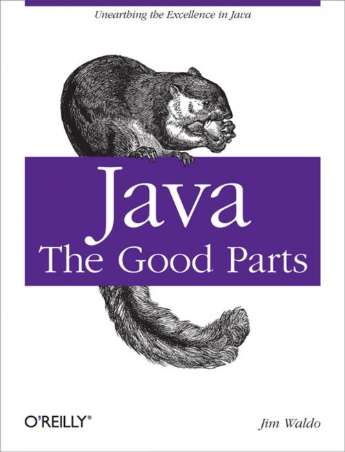 Cover of the book Java: The Good Parts by Jim Waldo, O'Reilly Media