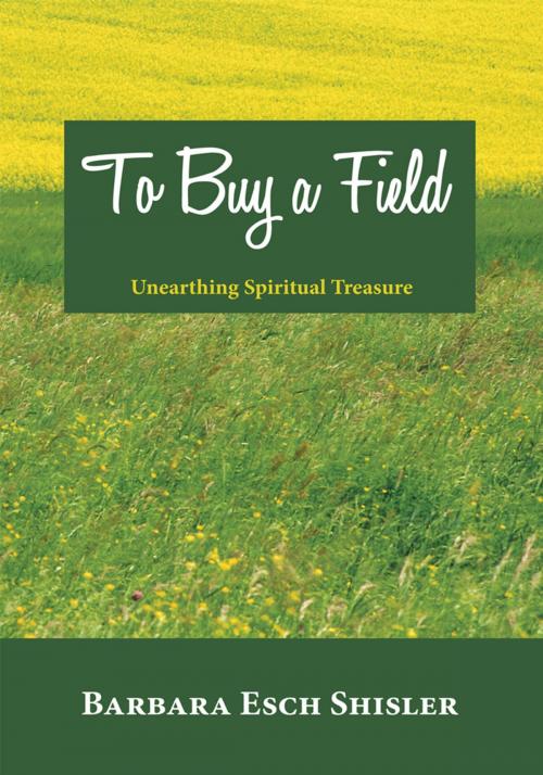 Cover of the book To Buy a Field by Barbara Esch Shisler, WestBow Press