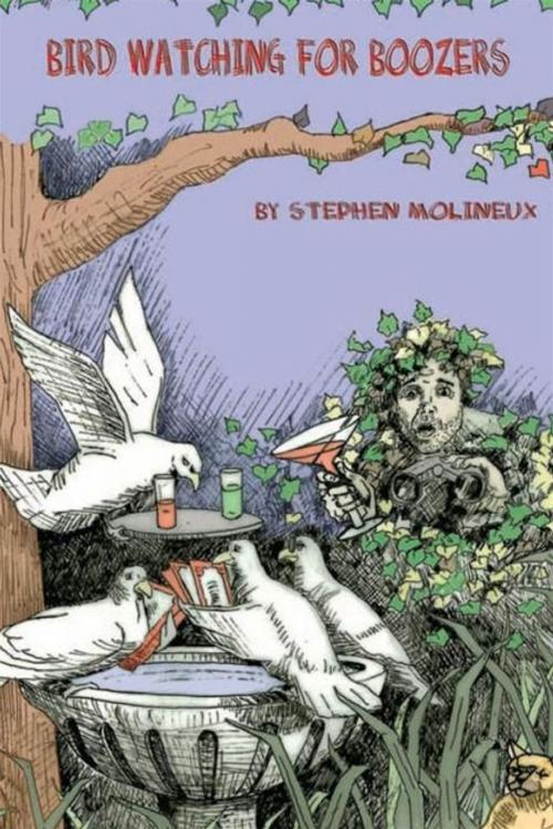 Cover of the book Bird Watching for Boozers by Stephen Molineux, Xlibris US