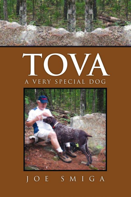 Cover of the book Tova by Joe Smiga, Xlibris US