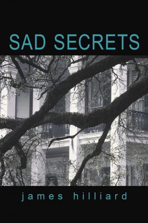 Cover of the book Sad Secrets by James Hilliard, iUniverse