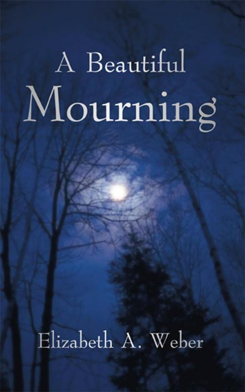 Cover of the book A Beautiful Mourning by Elizabeth A. Weber, iUniverse