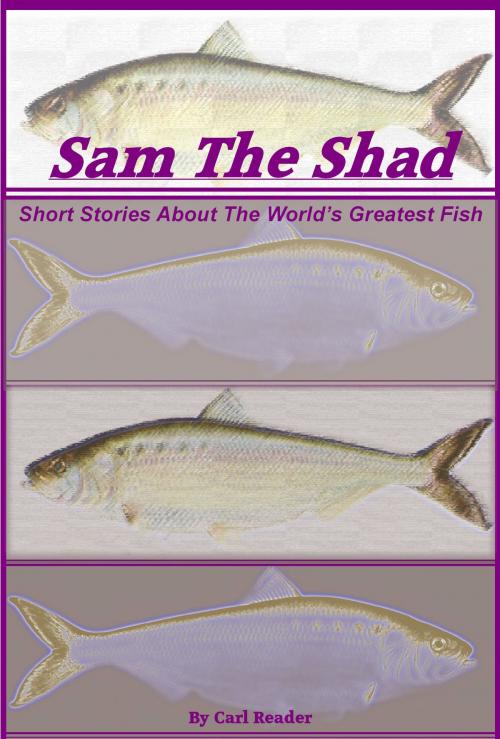 Cover of the book Sam the Shad by Carl Reader, Carl Reader