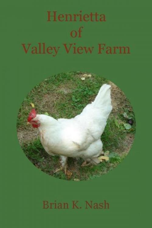 Cover of the book Henrietta of Valley View Farm by Brian Nash, Brian Nash