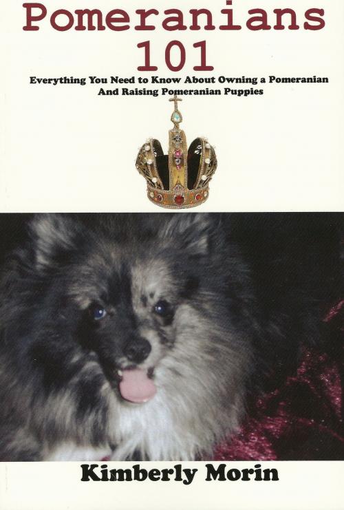 Cover of the book Pomeranians 101 by Kimberly Morin, Kimberly Morin