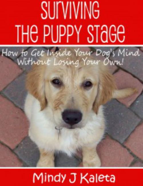 Cover of the book Surviving the Puppy Stage, How to Get Inside Your Dog's Mind Without Losing Your Own! by Mindy J Kaleta, Kaleta Publishing, LLC