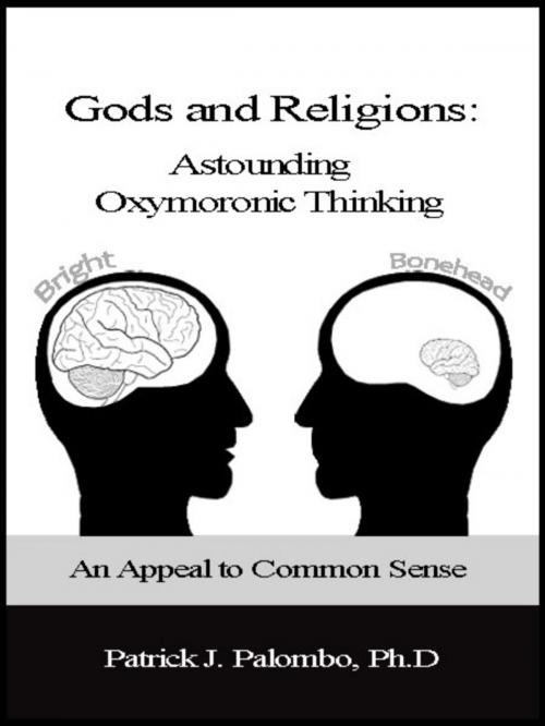 Cover of the book Astounding Oxymoronic Fantasies: Gods and Religions. An Appeal to Common Sense. by Patrick J. Palombo, Patrick J. Palombo