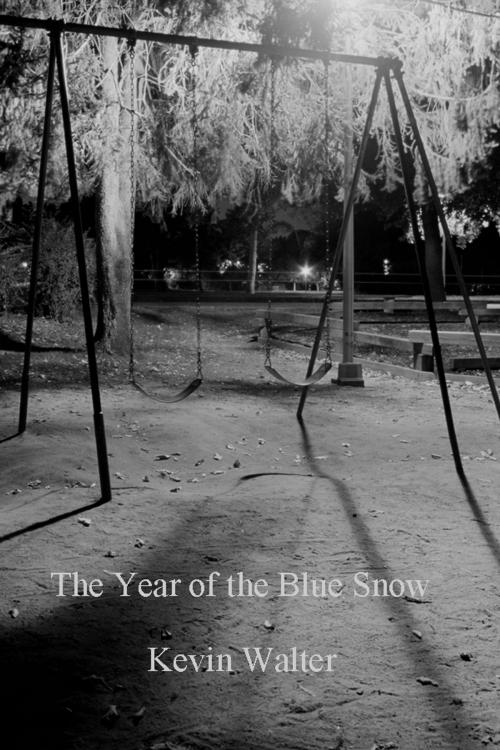 Cover of the book The Year of the Blue Snow by Kevin Walter, Kevin Walter