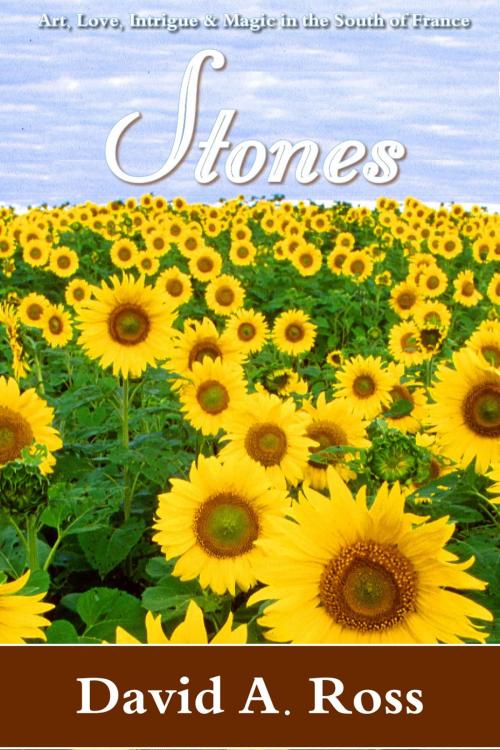 Cover of the book Stones by David A. Ross, Open Books