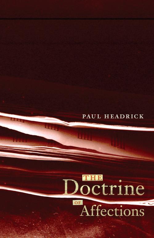 Cover of the book The Doctrine of Affections by Paul Headrick, Freehand