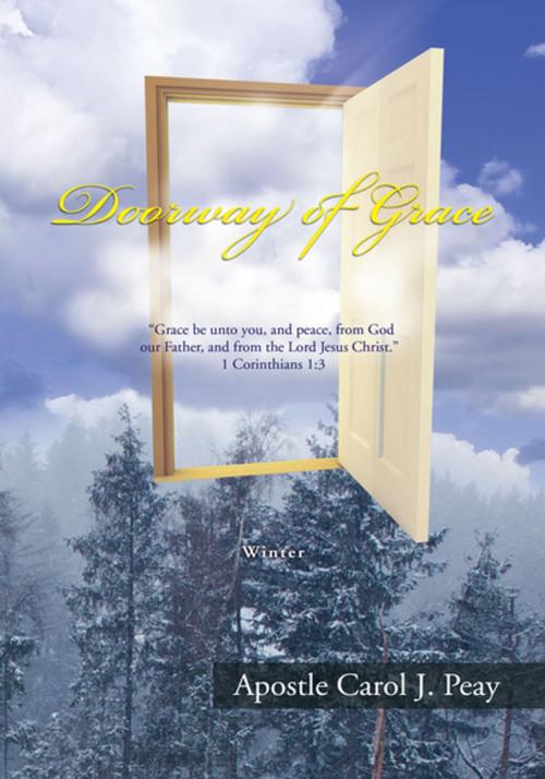 Cover of the book Doorway of Grace by Apostle Carol J. Peay, Xlibris US