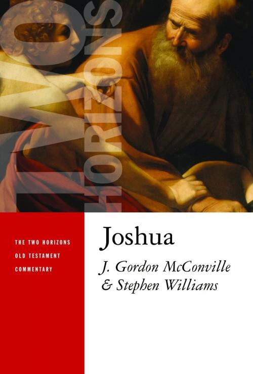 Cover of the book Joshua by Gordon McConville, Stephen Williams, Wm. B. Eerdmans Publishing Co.