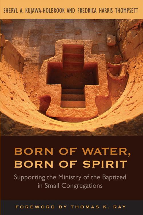 Cover of the book Born of Water, Born of Spirit by Sheryl A. Kujawa-Holbrook, Rowman & Littlefield Publishers