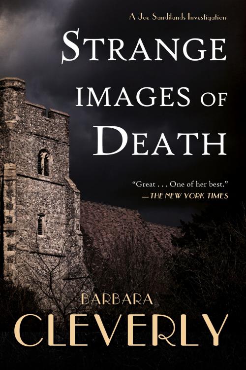 Cover of the book Strange Images of Death by Barbara Cleverly, Soho Press