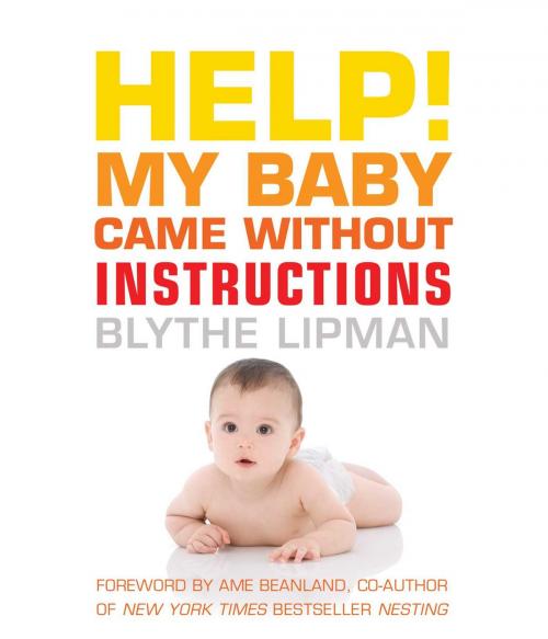 Cover of the book Help! My Baby Came Without Instructions by Blythe Lipman, Viva Editions