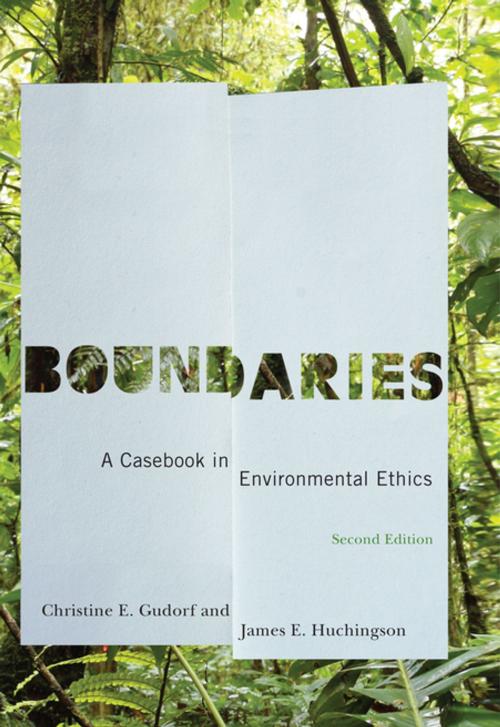 Cover of the book Boundaries by Christine E. Gudorf, James E. Huchingson, Georgetown University Press