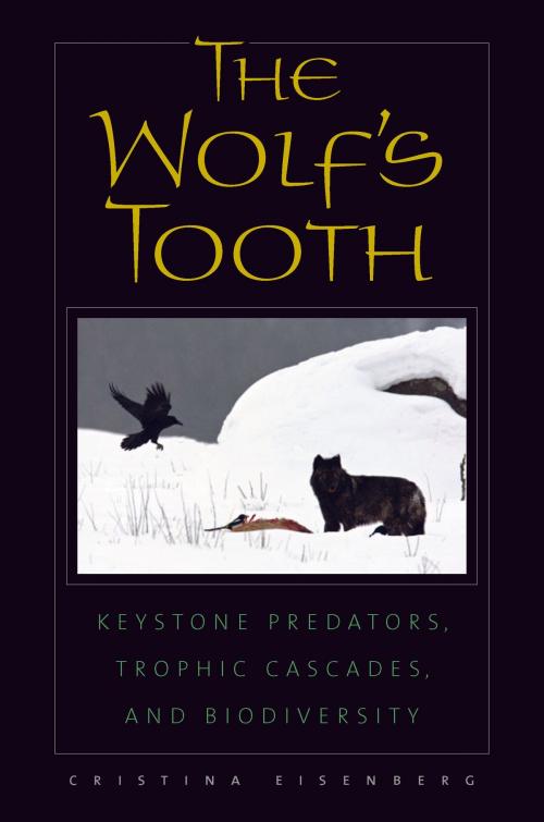 Cover of the book The Wolf's Tooth by Cristina Eisenberg, Island Press