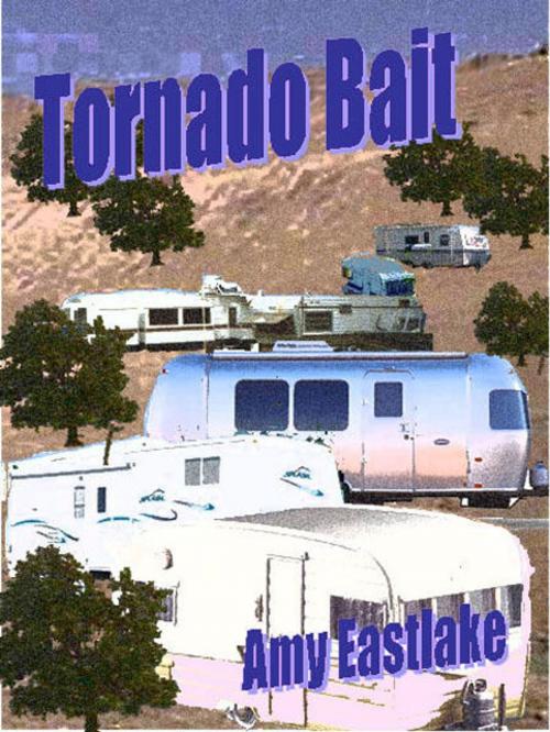 Cover of the book Tornado Bait: A Texas Trailer Park Mystery by Amy Eastlake, Rob Preece