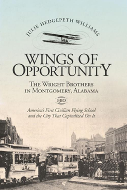 Cover of the book Wings of Opportunity by Julie Hedgepeth Williams, NewSouth Books