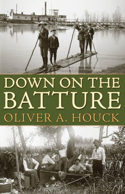Cover of the book Down on the Batture by Oliver A. Houck, University Press of Mississippi