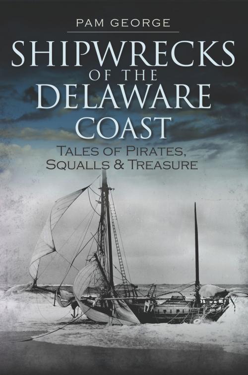 Cover of the book Shipwrecks of the Delaware Coast by Pam George, Arcadia Publishing Inc.