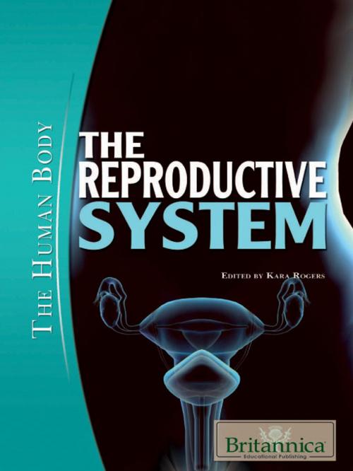Cover of the book The Reproductive System by Kara Rogers, Britannica Educational Publishing