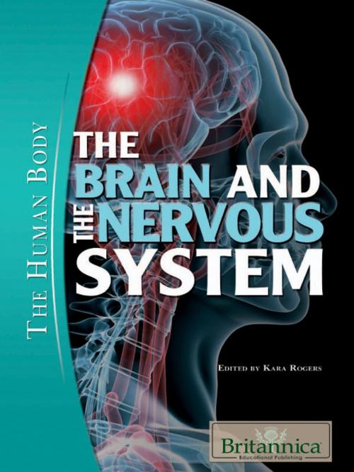 Cover of the book The Brain and the Nervous System by Kara Rogers, Britannica Educational Publishing