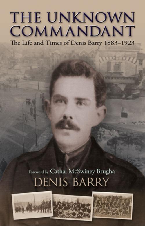 Cover of the book The Unknown Commandant by Denis Barry, Gill Books