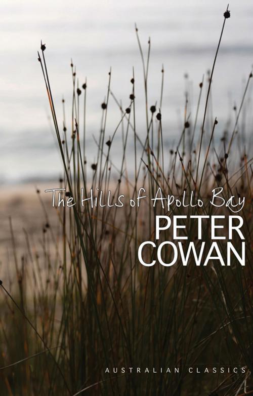 Cover of the book Hills of Apollo Bay by Peter Cowan, Fremantle Press