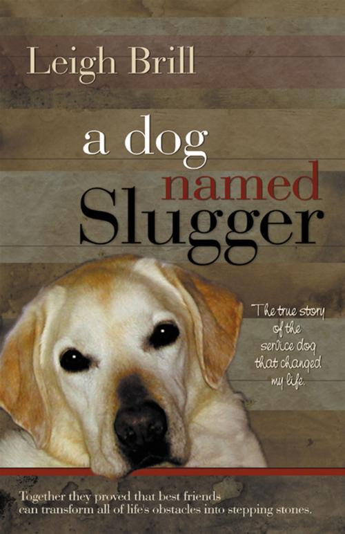 Cover of the book A Dog Named Slugger by Leigh Brill, BelleBooks, Inc.