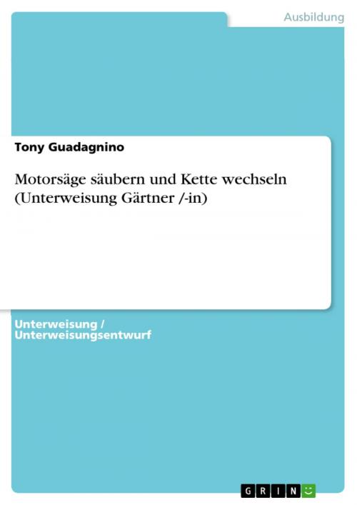Cover of the book Motorsäge säubern und Kette wechseln (Unterweisung Gärtner /-in) by Tony Guadagnino, GRIN Verlag
