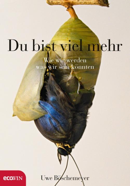Cover of the book Du bist viel mehr by Uwe Böschemeyer, Ecowin