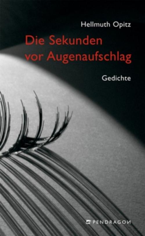 Cover of the book Die Sekunden vor Augenaufschlag by Hellmuth Opitz, Pendragon